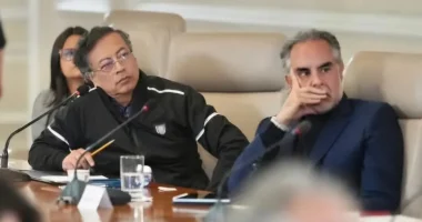 Armando Benedetti miente y desfigura fallo del Tribunal de Caldas sobre transmisión del "Consejo de Ministros"