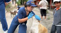 Jorge Rey fortalece atención a animales afectados por emergencia invernal en Cundinamarca