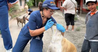 Jorge Rey fortalece atención a animales afectados por emergencia invernal en Cundinamarca