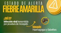 Cundinamarca en alerta por fiebre amarilla: ya se adelantan acciones preventivas