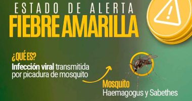 Cundinamarca en alerta por fiebre amarilla: ya se adelantan acciones preventivas