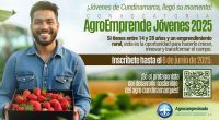 Gobernación de Cundinamarca lanza AgroEmprende 2025