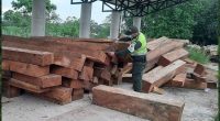 Cundinamarca refuerza controles para frenar la madera ilegal y proteger los bosques