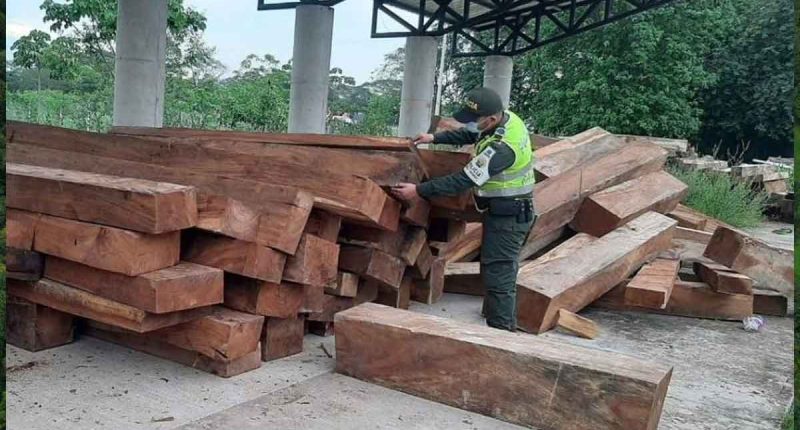 Cundinamarca refuerza controles para frenar la madera ilegal y proteger los bosques