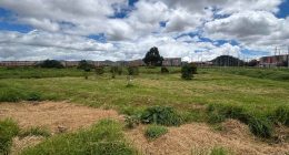 Soacha intensifica jornadas de recuperación ambiental en humedales urbanos