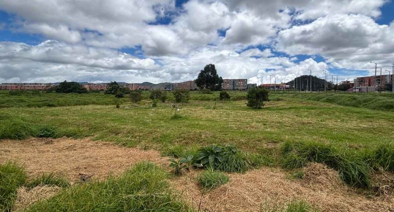 Soacha intensifica jornadas de recuperación ambiental en humedales urbanos