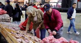 “Cundipapa”, la apuesta de Cundinamarca para salvar al sector papero de la crisis de precios