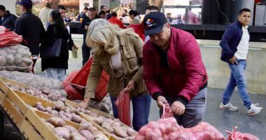 “Cundipapa”, la apuesta de Cundinamarca para salvar al sector papero de la crisis de precios