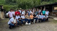 Cundinamarca fortalece lucha contra la plaga Diatraea spp. en cultivos de caña panelera