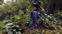 Cundinamarca lanza convocatorias ambientales para Juntas de Acción Comunal