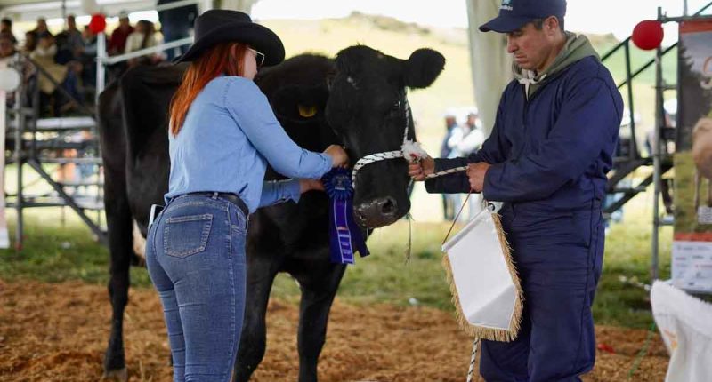 Soacha celebró la Feria Ganadera en la vereda Romeral exaltando el trabajo campesino