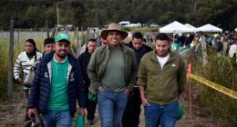 Festival de la Arveja en Soacha: homenaje al trabajo campesino