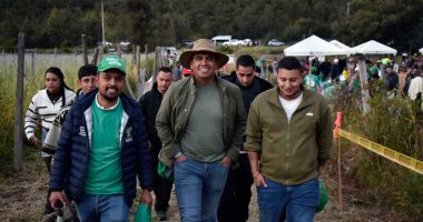 Festival de la Arveja en Soacha: homenaje al trabajo campesino