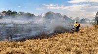 Incendios forestales afectan más de 80 hectáreas en Cundinamarca por altas temperaturas y quemas ilegales
