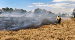 Incendios forestales afectan más de 80 hectáreas en Cundinamarca por altas temperaturas y quemas ilegales