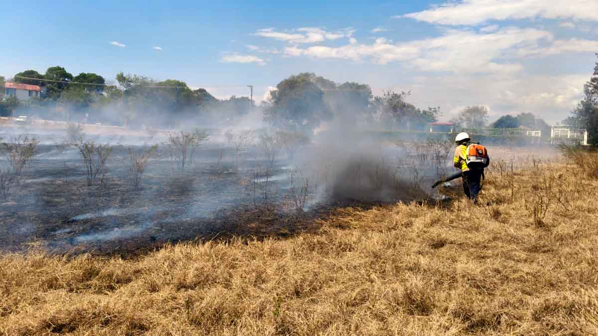 Incendios forestales afectan más de 80 hectáreas en Cundinamarca por altas temperaturas y quemas ilegales