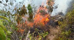 Cundinamarca reporta 15 incendios en ocho municipios durante el fin de semana: 90 hectáreas afectadas