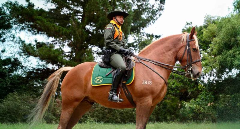 180 nuevos uniformados reforzarán la seguridad en la Región Metropolitana de la Sabana