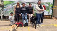 Soacha realizará jornada gratuita de vacunación antirrábica para perros y gatos este 27 de septiembre