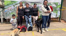 Soacha realizará jornada gratuita de vacunación antirrábica para perros y gatos este 27 de septiembre