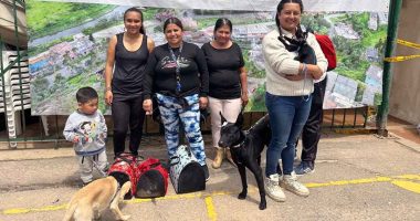 Soacha realizará jornada gratuita de vacunación antirrábica para perros y gatos este 27 de septiembre