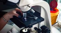 acreditación en entomología Cundinamarca para control de vectores