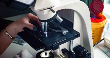 acreditación en entomología Cundinamarca para control de vectores