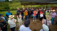 Cundinamarca impulsa la biotecnología reproductiva en el ganado Brahman puro