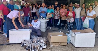 Cundinamarca fortalece el control biológico para proteger cultivos de caña panelera