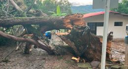 Gobernación de Cundinamarca ha atendido 406 emergencias por lluvias en 2025