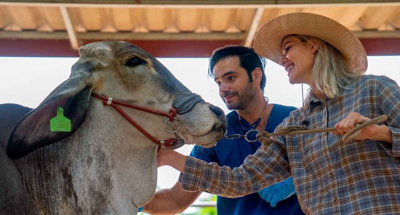 La Mesa invita a la Feria Comercial Ganadera 2025 para fortalecer el campo local