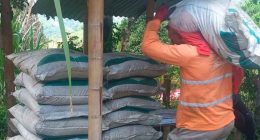 Más de 100 productores de caña panelera de Cundinamarca recibieron fertilizantes orgánicos para fortalecer la producción sostenible