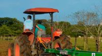Cundinamarca impulsa proyecto para el mejoramiento de praderas ganaderas en Medina