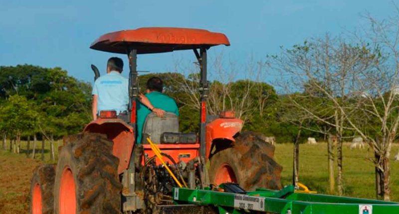 Cundinamarca impulsa proyecto para el mejoramiento de praderas ganaderas en Medina