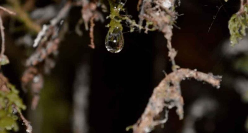 Voces que Suman: Cundinamarca y Bogotá avanzan juntos por la protección del agua