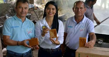 La Peña fortalece su producción panelera con apoyo de la Gobernación de Cundinamarca