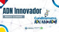Cundinamarca impulsa semilleros de investigación con 65 estudiantes y docentes en ocho municipios