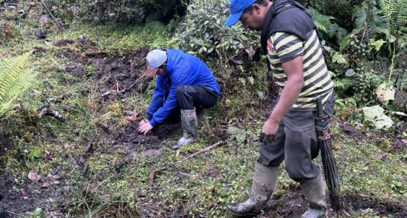 Cundinamarca impulsa el programa “Siembra Comunal: Agua y Vida” para la adaptación al cambio climático