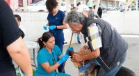 Brigada médico-veterinaria en Arbeláez atendió más de 150 animales