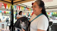 Jornada Gratuita de Esterilización Canina y Felina en Ricaurte