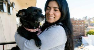 Brigada veterinaria en Arbeláez: jornada gratuita de desparasitación y vitaminización