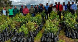 Ganadería sostenible en Cundinamarca reduce más de 2.100 toneladas de CO₂ al año