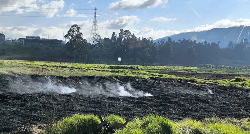 Incendio forestal en Hacienda Tequendama fue controlado en Soacha