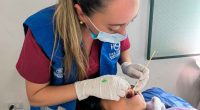 Jornada de Salud en Bojacá: servicios gratuitos para toda la comunidad este 3 de diciembre