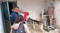 Rescate de caninos en Soacha: salvan a dos perros abandonados