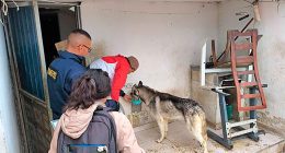 Rescate de caninos en Soacha: salvan a dos perros abandonados