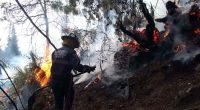Autoridades alertan por aumento del riesgo de incendios forestales en Cundinamarca