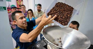 Planta de cacao en Sasaima triplica ingresos de productores