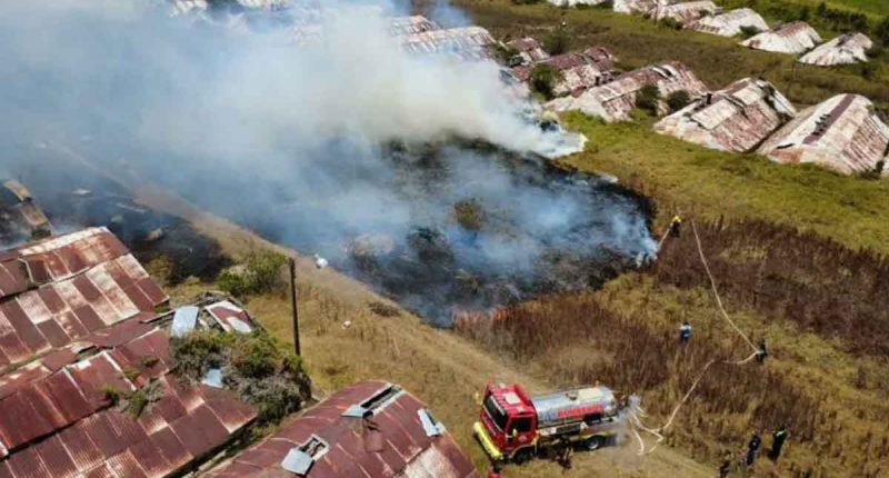 Incendio forestal en Chocontá: controlado en un 90% este domingo