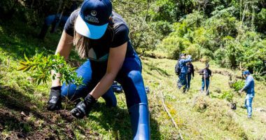 Habitantes y funcionarios participando en la reforestación en Chocontá para la protección del suelo.